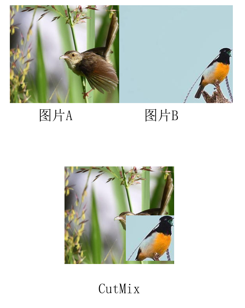 image-20210510214848030