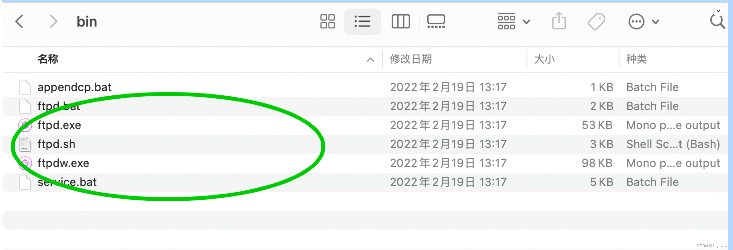 java FTP Server 本地搭建-CSDN博客