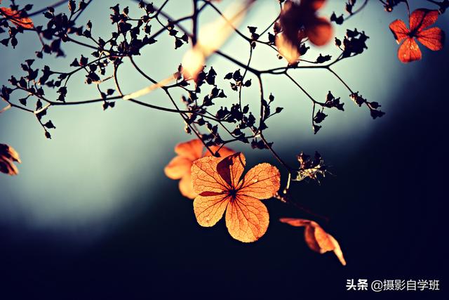 faaee02abcca3f05cbd4babebc559813.png