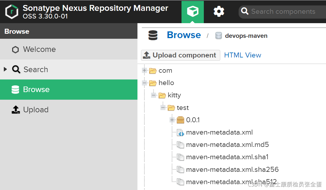 Nexus API 使用与 Jenkins 集成指南-CSDN博客