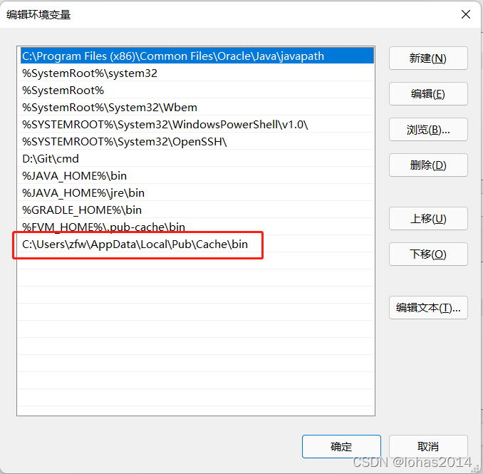 配置fvm环境变量