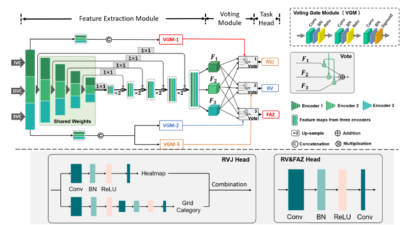 Retinal Structure Detection in OCTA Image via Voting-Based Multitask ...