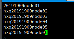 image-20240317201243254