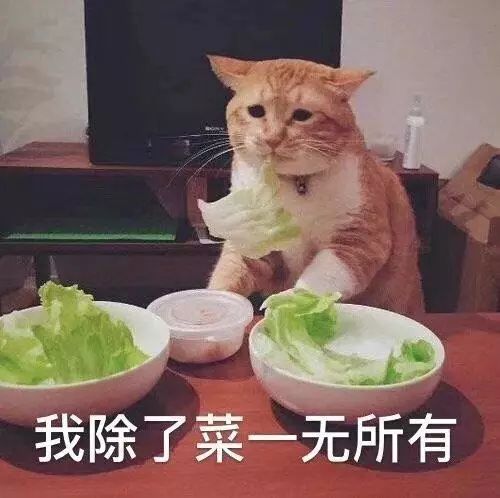16adf2143793d70ef23aba0683988cb1.png