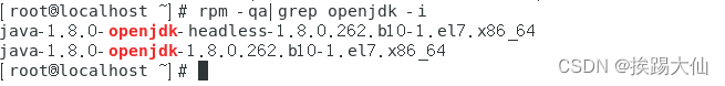 rpm -qa|grep openjdk -i