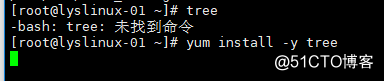 Linux系统目录结构