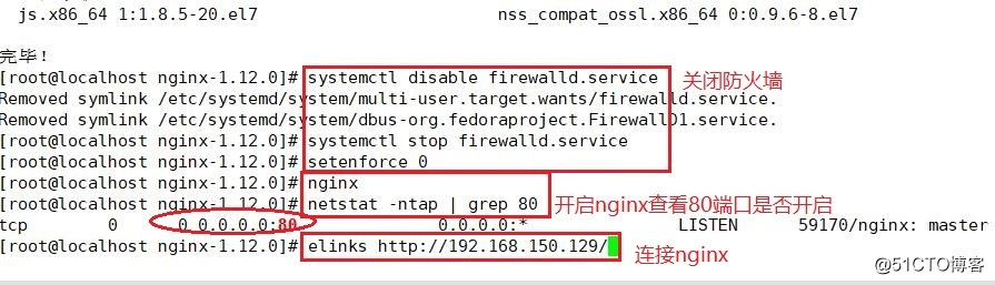 Nginx的使用