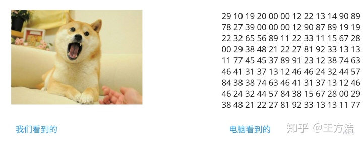654495e1e1c19444003f47b37e060fc9.png