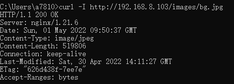 image-20220501175110561