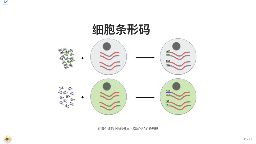 37c134835b718f3782a704e00261ae1c.png