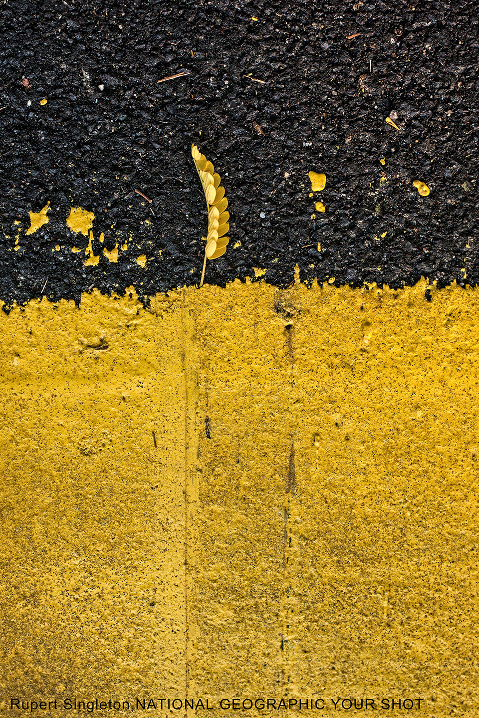 ac1b79210691c24a64eb3926c7208cf5.png
