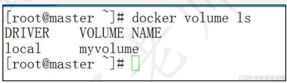 【赵渝强老师】Docker的数据持久化_eureka_03