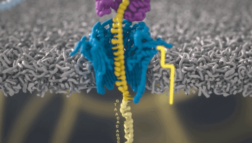 fc295b6f44f04da329baec710546f634.gif