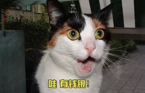 还记得有情怀的游侠吗？这次挂了个宝宝准备放大招5