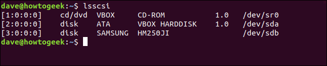 lsscsi output in a terminal widnow