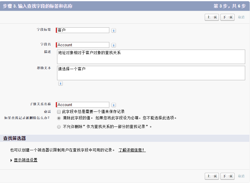 输入查找字段的标签和名称