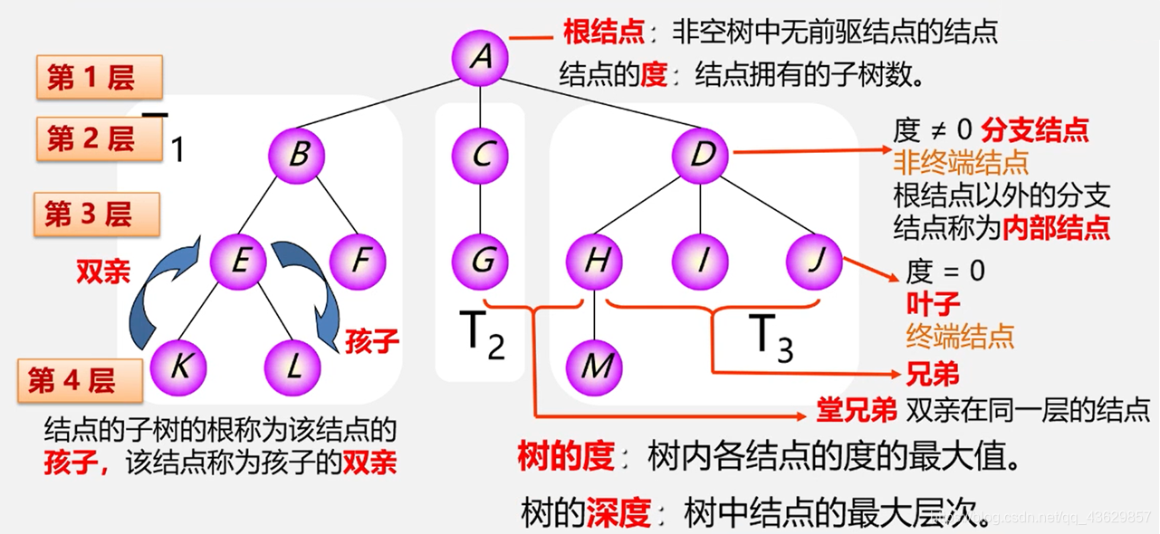 树的基本概念和术语
