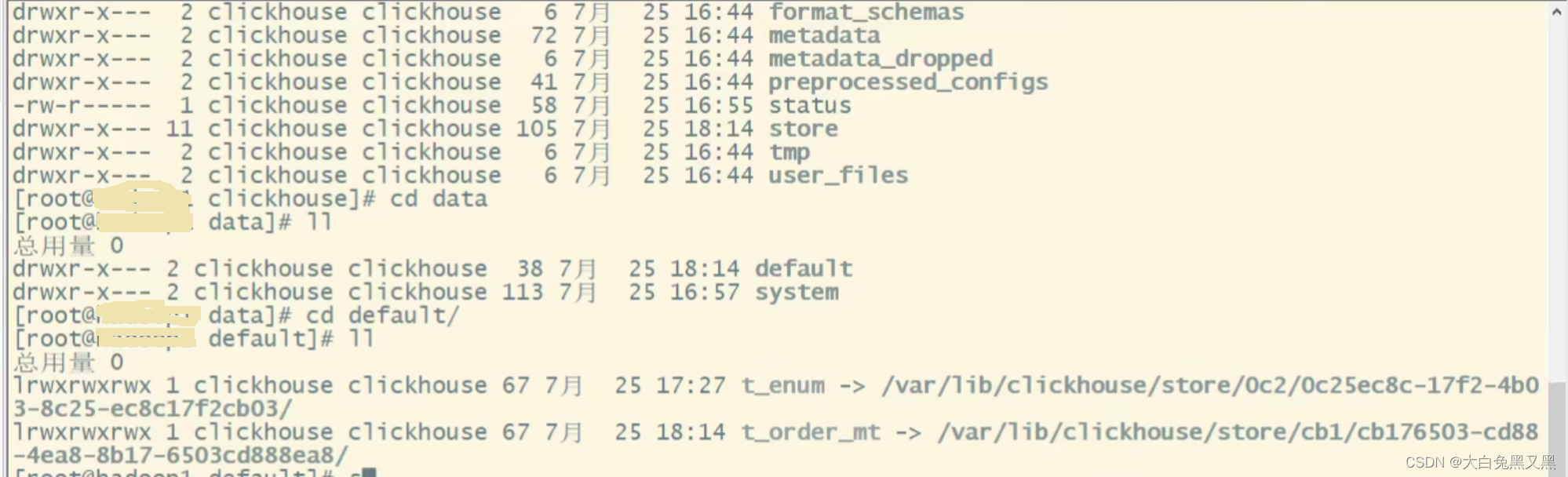 图4 data目录结构