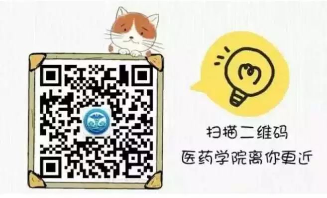 91c13bdc0bce01cbb2a2771c8d0232ad.png