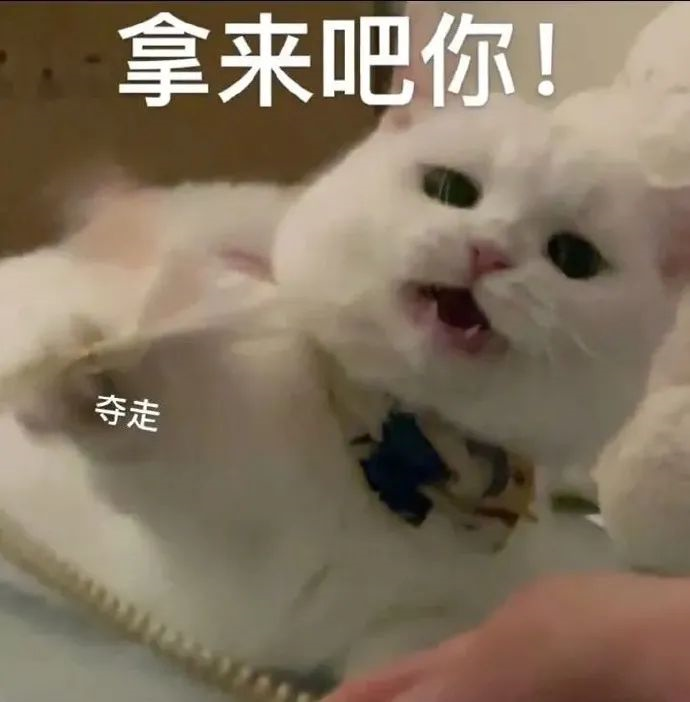 259ed34e7789f98f779c20bdb7438d66.png