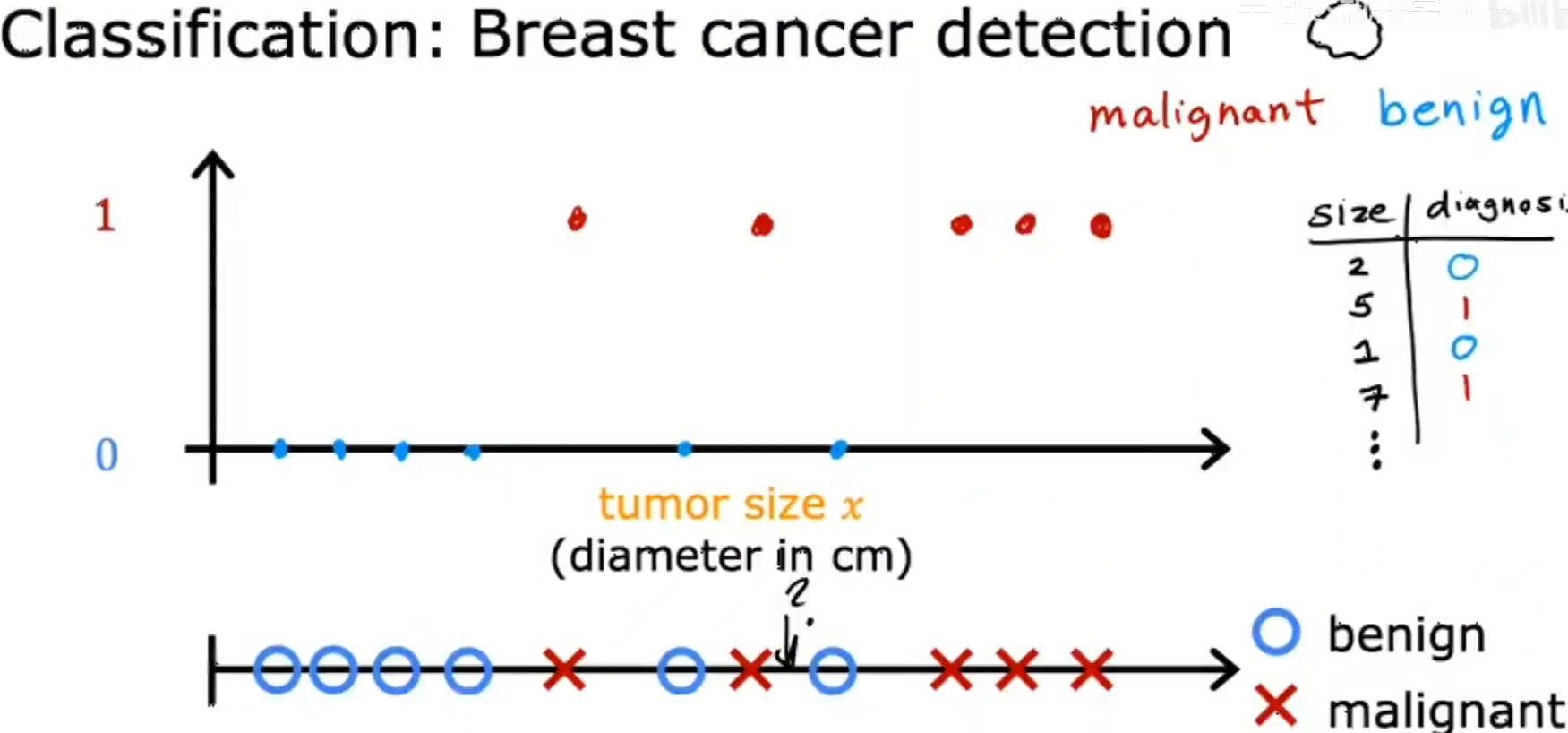 image-20231221233033954