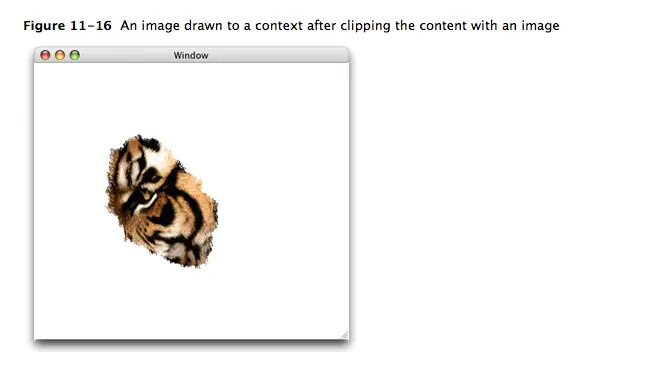 9052647-c73abeb486496e10.png