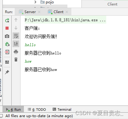java 简单实现客户端和服务端在控制台发送消息 socket_java客户端向服务端发消息,服务端在展示台展示消息,并像客户端返回信息-CSDN博客