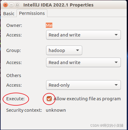 Ubuntu18.04创建IDEA桌面快捷方式_ubuntu intellij idea 桌面-CSDN博客