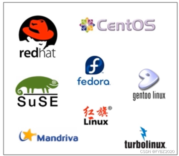Linux系统管理与Shell编程详解-CSDN博客