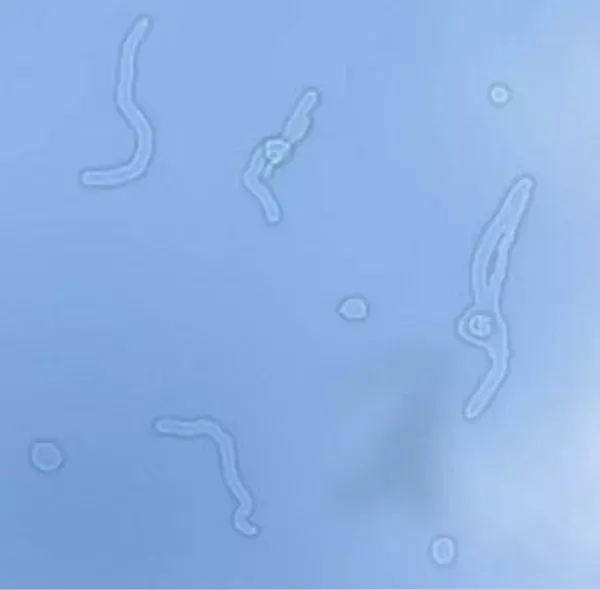 2530112-d674268ec3528aea.png