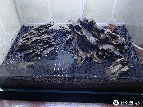 开缸种草篇