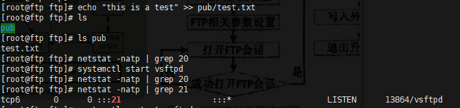 image-20220615194358749