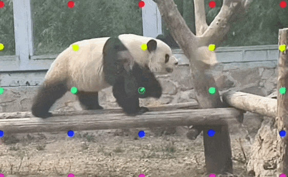 053e05d711e663f2f9e0a6541927d6bd.gif