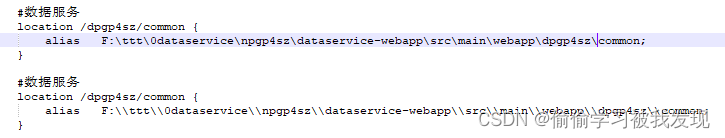 关于window中nginx配置文件路径因/或\访问不到路径问题记录_nginx配置前端项目 找不到路径-CSDN博客