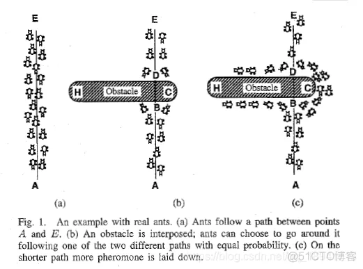 【图像分割】基于蚁群优化模糊聚类的图像分割matlab源码_matlab