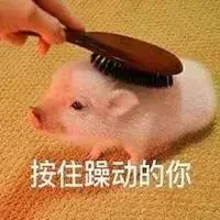13908708-c9940f865634c341.png