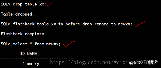 Oracle 11g R2 闪回技术