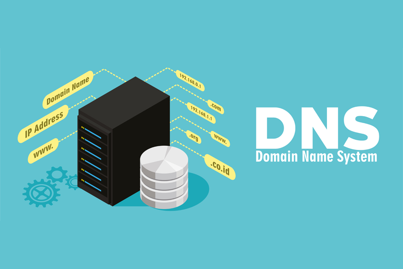 CentOS 8 清除 DNS 缓存的方法CentOS 8 清除 DNS 缓存的方法