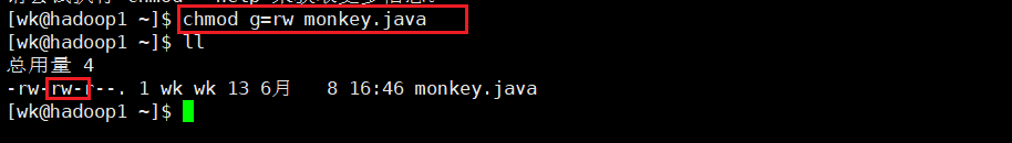 image-20210608165547626