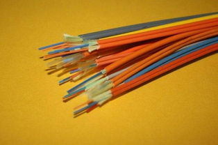 d9049c759c1e198367f962308f4fe50a.png