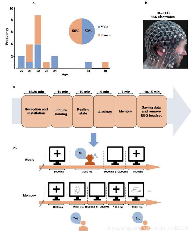 动态脑电图怎么看用于追踪认知任务期间的亚秒级脑动态的高密度脑电_https://www.jmylbn.com_新闻资讯_第2张