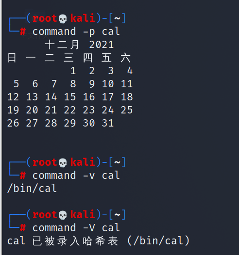 image-20211212054319926