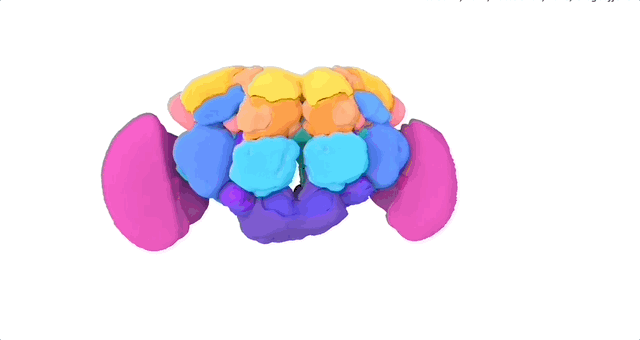 fe6d07641ff09ea0f084f484c0cafc53.gif