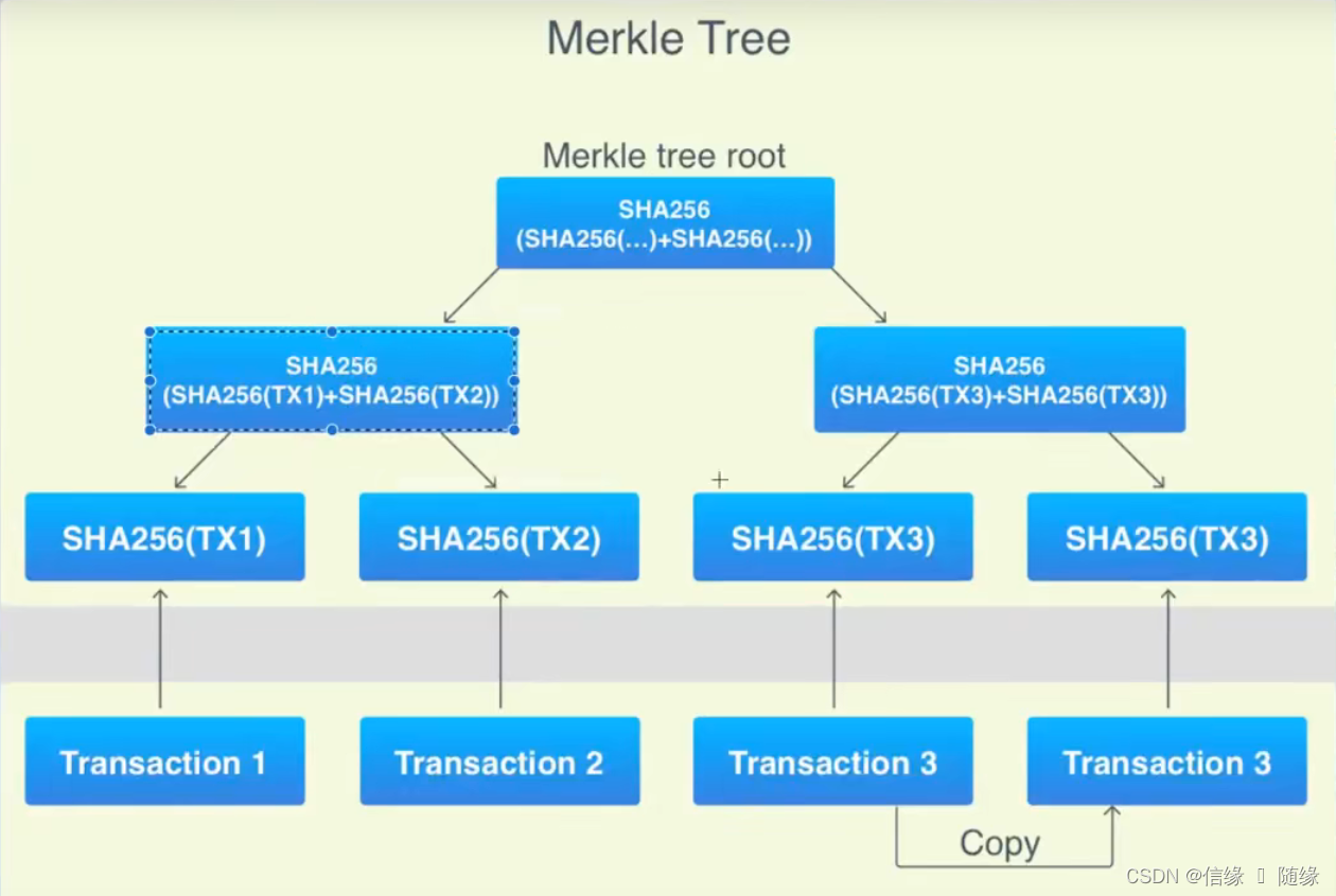 golang 区块链：默克尔树(Merkle Tree)_go语言计算merkle根、计算merkle证明、区块排序-CSDN博客