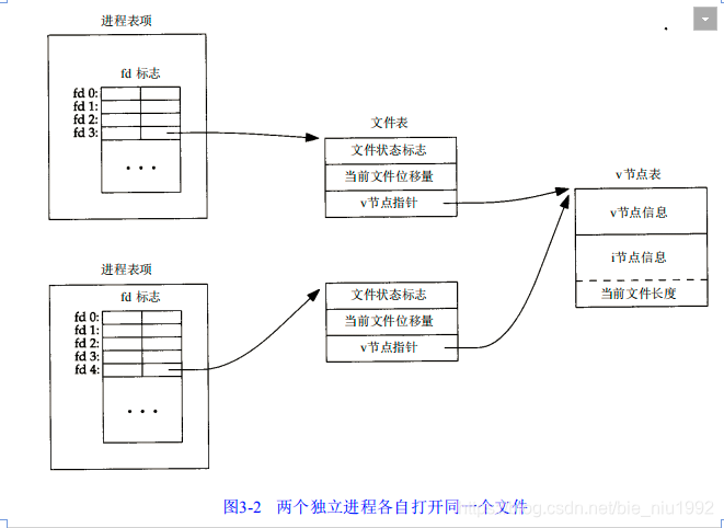 不同进程打开的文件
