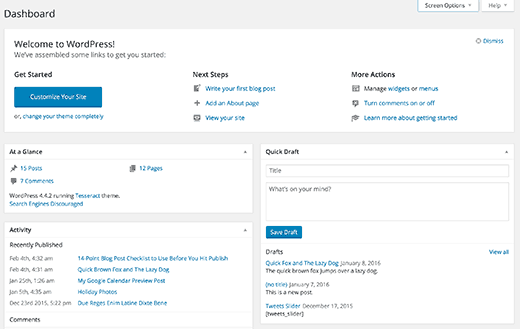 Default WordPress admin dashboard panels