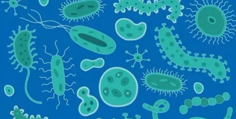 「复活」古生物分子，AI解决抗生素耐药性，复旦、宾大合作团队两篇论文登Cell和Nature子刊 | 最新快讯_数据集