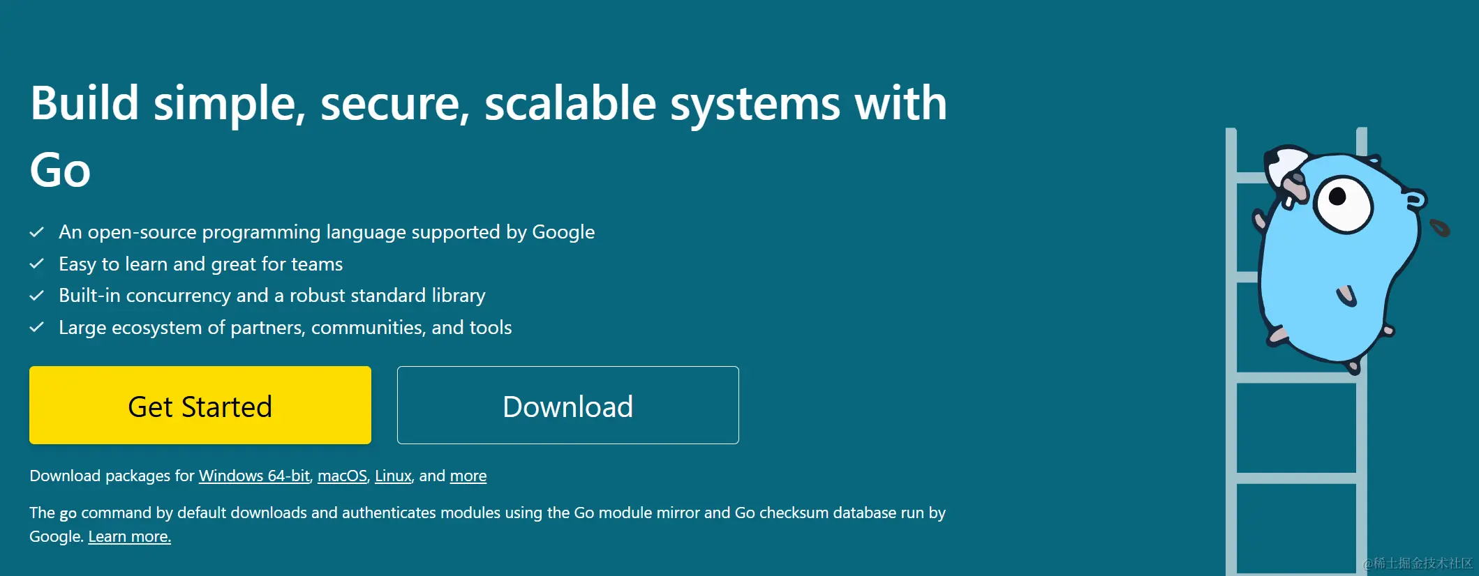 golang 官方网站.png