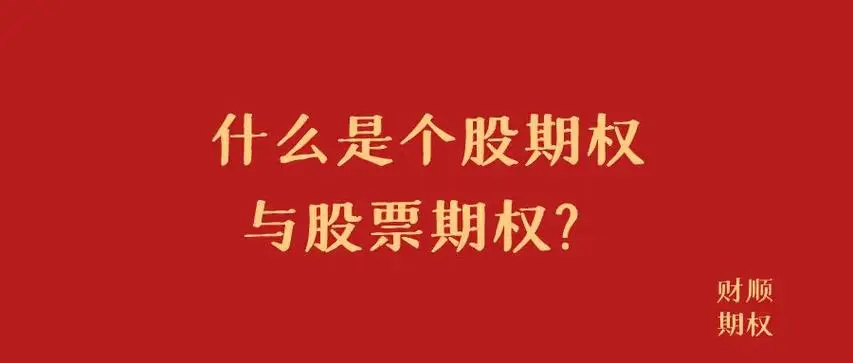 期权是什么股？